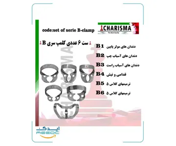 ست 6 عددی کلمپ رابردم سری B برینکر کاریزما
